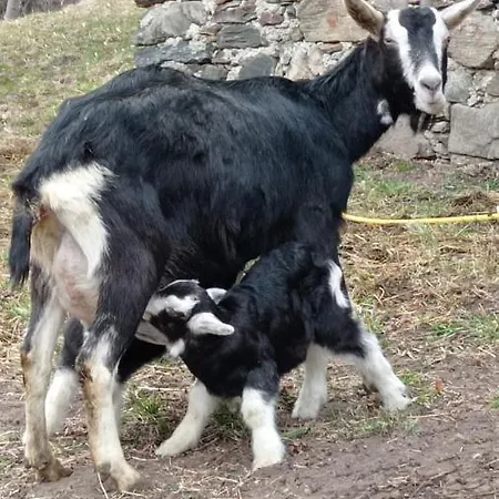 Casa Barbola Apartman Sondalo