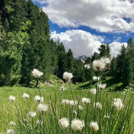 Casa Barbola * Sondalo