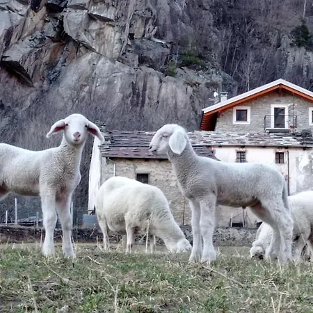 Casa Barbola * Sondalo